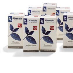 SPIREA ULMARIA 100ML TM - La farmacia digitale